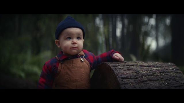 Video Reference: Plant, Smile, Flash photography, Happy, Cap, Grass, Tree, Wood, Toddler, Darkness