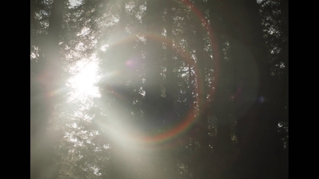 Video Reference: Water, Atmosphere, Sky, Rainbow, Window, World, Atmospheric phenomenon, Astronomical object, Tree, Lens flare