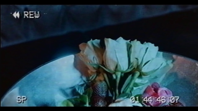 Video Reference: Flower, Petal, Art, Font, Ingredient, Event, Symmetry, Leaf vegetable, Food, Electric blue