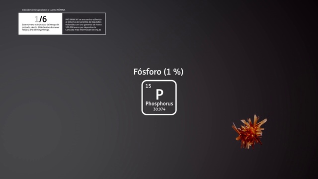 Video Reference: Font, Circle, Logo, Brand, Graphics, Darkness, Event, Screenshot, Macro photography, Plant