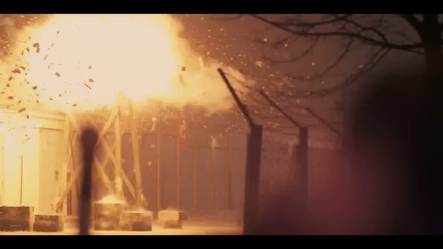 Video Reference: Atmosphere, Atmospheric phenomenon, Tree, Heat, Tints and shades, Wood, Plant, Lens flare, Event, Art
