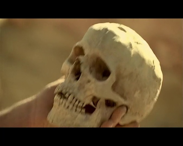 Video Reference: Bone, Jaw, Skull, Art, Sculpture, Snout, Skeleton, Anthropology, Visual arts, Still life photography