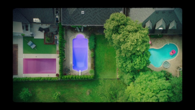 Video Reference: Plant, Green, Window, Leaf, Azure, Lighting, Rectangle, Building, Grass, House