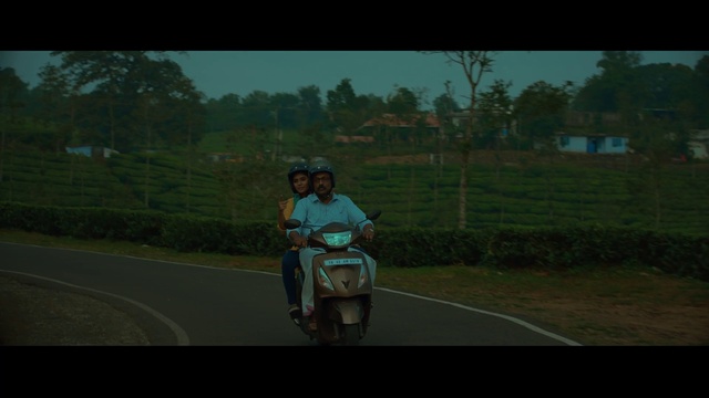 Video Reference: Tire, Plant, Wheel, Sky, Automotive lighting, Automotive tire, Motor vehicle, Vehicle, Tree, Automotive mirror