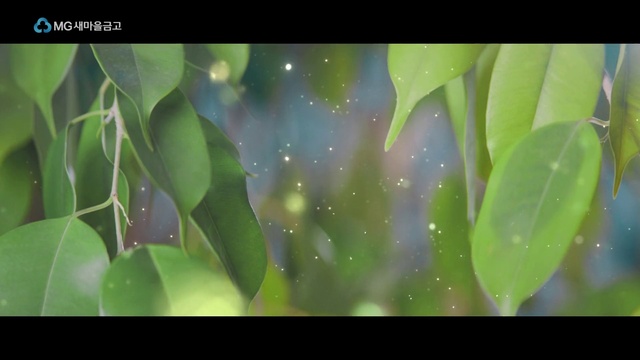 Video Reference: Plant, Water, Terrestrial plant, Organism, People in nature, Grass, Flowering plant, Art, Twig, Macro photography