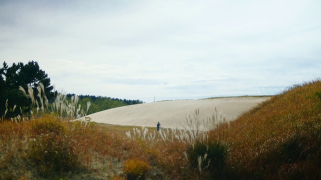 Video Reference: Cloud, Sky, Plant, Ecoregion, Natural landscape, Natural environment, Land lot, Tree, Plain, Grassland