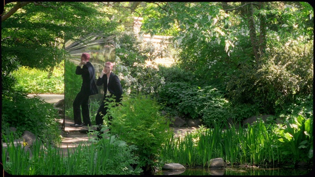 Video Reference: Plant, Green, People in nature, Branch, Natural landscape, Gesture, Terrestrial plant, Grass, Leisure, Shrub