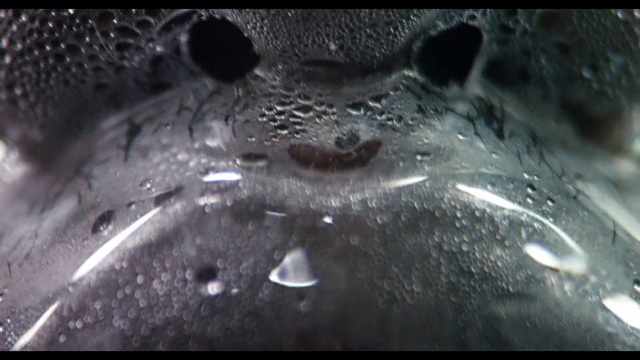 Video Reference: Liquid, Astronomical object, Space, Science, Darkness, Event, Font, Monochrome photography, Circle, Monochrome