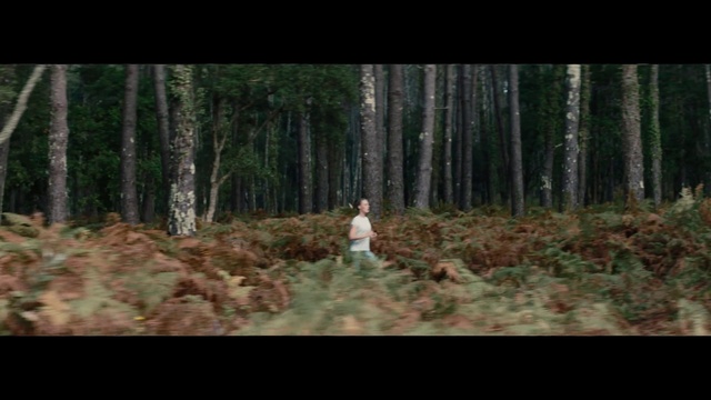 Video Reference: Plant, Plant community, Ecoregion, People in nature, Wood, Tree, Natural landscape, Gesture, Terrestrial plant, Trunk