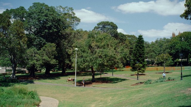 Video Reference: park, trees, grass, path, outdoor, landscape, lamppost, bench, people, sky, daytime, greenery, nature, garden, urban park