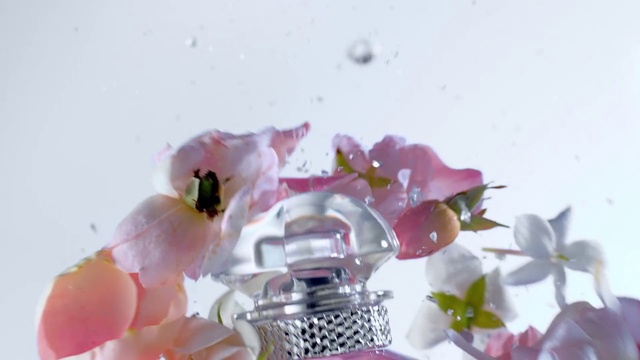 Video Reference: Flower, Plant, Petal, Botany, Liquid, Purple, Pink, Drinkware, Violet, Terrestrial plant