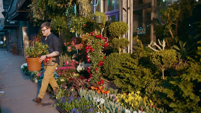 Video Reference: Flower, Plant, Window, Grass, Leisure, Flowerpot, Groundcover, Shrub, Landscape, Flower Arranging