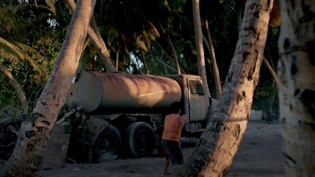 Video Reference: Tire, Wheel, Automotive tire, Vehicle, Plant, Tree, Wood, Motor vehicle, Trunk, Woody plant