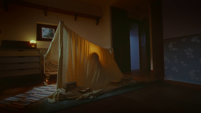 Video Reference: Mosquito net, Wood, Flooring, Shade, Lamp, Tints and shades, Comfort, Hardwood, Picture frame, Event