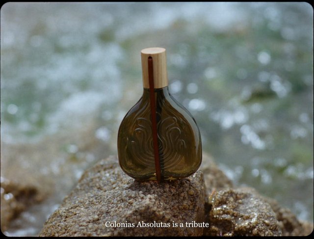 Video Reference: bottle, glass bottle, amber, rock, water, shoreline, ocean, surf, close-up, product shot, nature, background blur, subtitle, outdoors