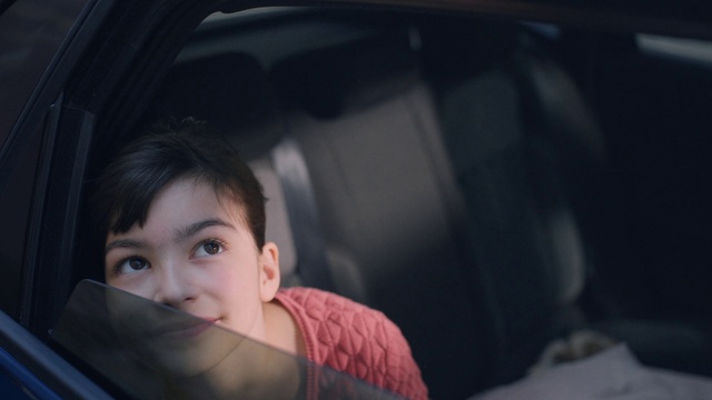 Video Reference: Nose, Hair, Head, Eye, Window, Mouth, Plant, Automotive mirror, Flash photography, Automotive design