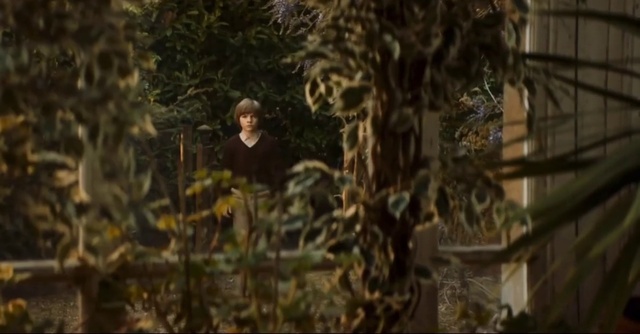 Video Reference: Plant, Wood, Terrestrial plant, Trunk, Grass, Twig, Art, Forest, Darkness, Tree