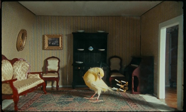 Video Reference: Furniture, Building, Chair, Wood, Flooring, Bird, Floor, Cabinetry, Interior design, Picture frame