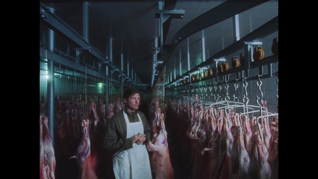 Video Reference: Flash photography, Event, Art, City, Darkness, Electric blue, Suit, Glass, Crowd, Fun