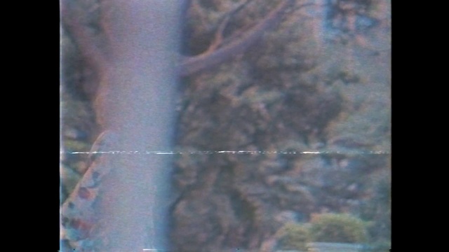 Video Reference: Terrestrial plant, Plant, Twig, Wood, Tree, Electric blue, Font, Display device, Forest, Map
