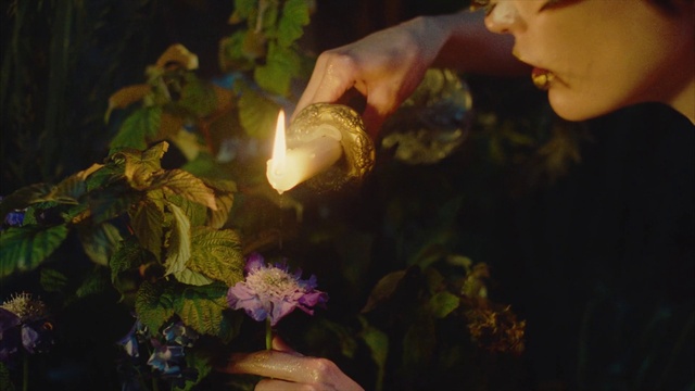 Video Reference: Plant, Organism, Flash photography, Petal, Flower, Flower Arranging, Grass, Bouquet, Annual plant, Marine biology