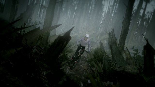 Video Reference: Plant, Terrestrial plant, Grass, Wood, Grass family, Forest, Landscape, Cg artwork, Darkness, Jungle