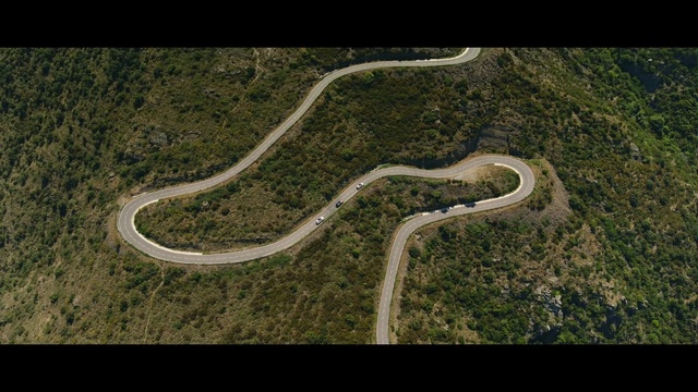 Video Reference: Plant, Ecoregion, Natural landscape, Tree, Asphalt, Grass, Grassland, Landscape, Wood, Slope