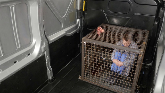 Video Reference: Vehicle, Motor vehicle, Automotive lighting, Pet supply, Car, Fixture, Automotive exterior, Vehicle door, Gas, Mesh