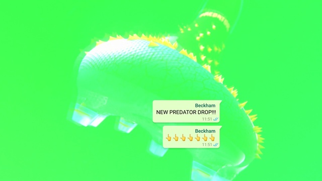 Video Reference: Automotive lighting, Organism, Font, Terrestrial plant, Circle, Slope, Graphics, Logo, Electric blue, Grass