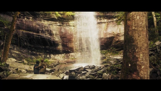 Video Reference: Water, Plant, Natural landscape, Waterfall, Sky, Wood, Body of water, Sunlight, Tree, Trunk