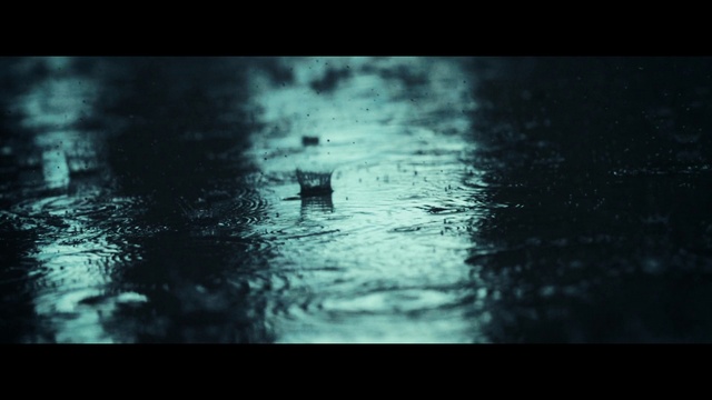 Video Reference: Atmosphere, Water, Liquid, Plant, Flash photography, Carnivore, Wood, Tints and shades, Landscape, Space