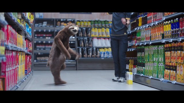 Video Reference: sloth, grocery store, aisle, person, packaged drinks, shelves, indoor, animal, retail, funny, upright, market