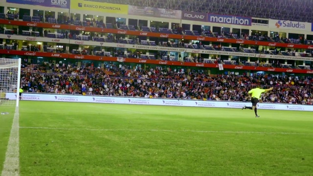 Video Reference: Atmosphere, Soccer, Sports equipment, Player, Ball game, Fan, Sports, Team sport, Grass, Football