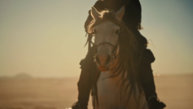Video Reference: Horse, Sky, Working animal, Horse tack, Horse supplies, Landscape, Pack animal, Bridle, Rein, Mane