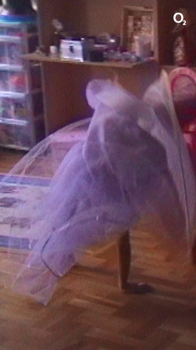 Video Reference: Purple, Sleeve, Wood, Flooring, Hardwood, Shelf, Bridal accessory, Event, Tail, Fashion accessory