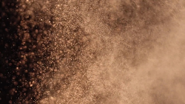 Video Reference: Brown, Water, Sky, Plant, Tree, Wood, Atmospheric phenomenon, Natural landscape, Tints and shades, Landscape