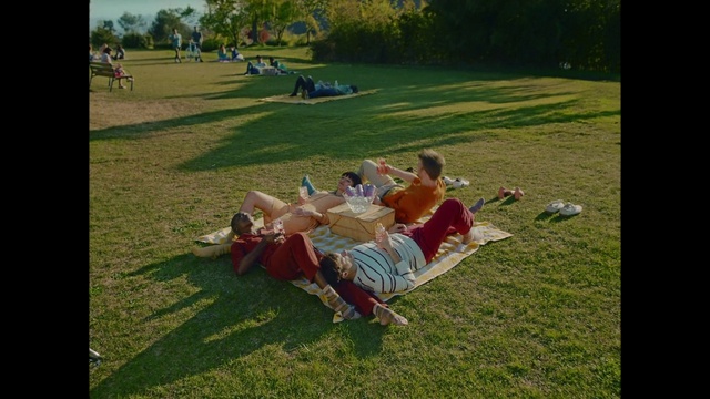 Video Reference: People in nature, Outdoor recreation, Tree, Grass, Leisure, Grassland, Meadow, Tints and shades, Grass family, Plant