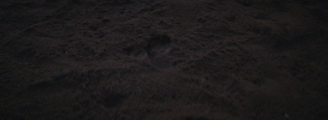 Video Reference: Wood, Flooring, Road surface, Landscape, Asphalt, Soil, Grass, Darkness, Concrete, Pattern