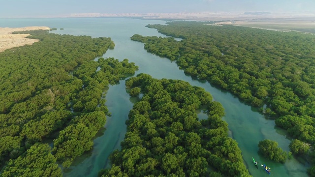 Video Reference: Water, Water resources, Sky, Ecoregion, Fluvial landforms of streams, Natural landscape, Nature, Natural environment, Vegetation, Lake