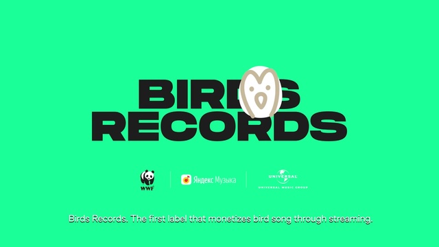 Video Reference: Font, Logo, Graphics, Brand, Illustration, Circle, Graphic design, Grass, Electric blue, Number