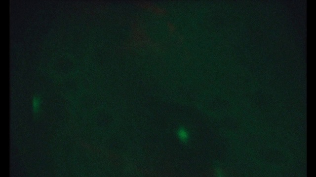 Video Reference: Electric blue, Sky, Midnight, Underwater, Water, Pattern, Darkness, Magenta, Font, Science