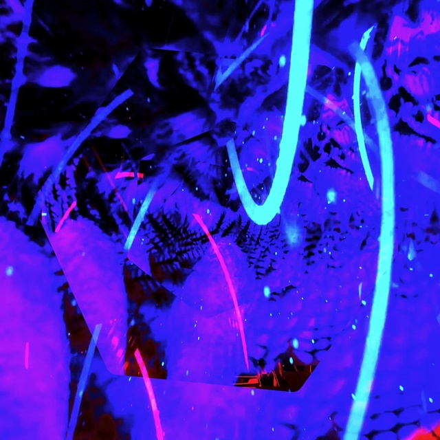 Video Reference: Water, Blue, Purple, Azure, Plant, Lighting, Organism, Line, Red, Entertainment