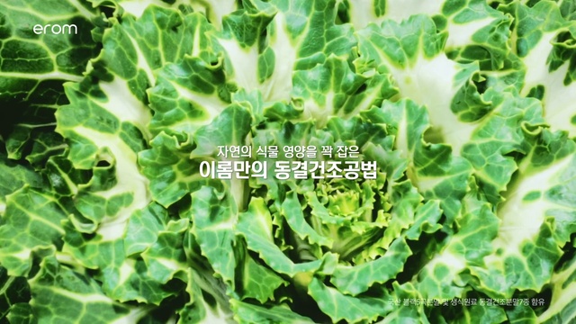 Video Reference: Plant, Terrestrial plant, Organism, Leaf vegetable, Grass, Groundcover, Flowering plant, Annual plant, Natural foods, Pattern