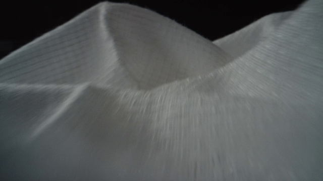 Video Reference: Petal, Plant, Grey, Tints and shades, Flower, Slope, Monochrome photography, Macro photography, Monochrome, Transparent material