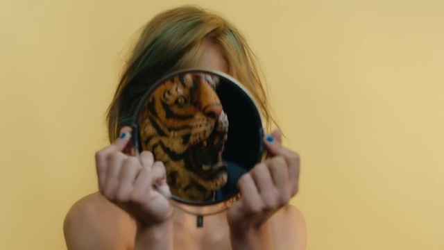 Video Reference: Hair, Glasses, Hand, Eyebrow, Vision care, Felidae, Ear, Neck, Small to medium-sized cats, Eyewear