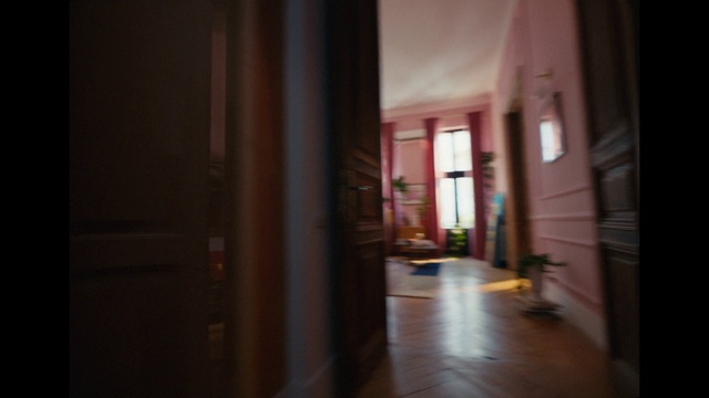 Video Reference: Building, Window, Wood, Fixture, Tints and shades, Flooring, Houseplant, Plant, Hardwood, Flowerpot