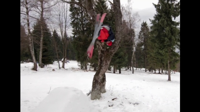 Video Reference: Snow, Tree, Sky, Trunk, Freezing, Slope, Plant, Winter, Event, Recreation