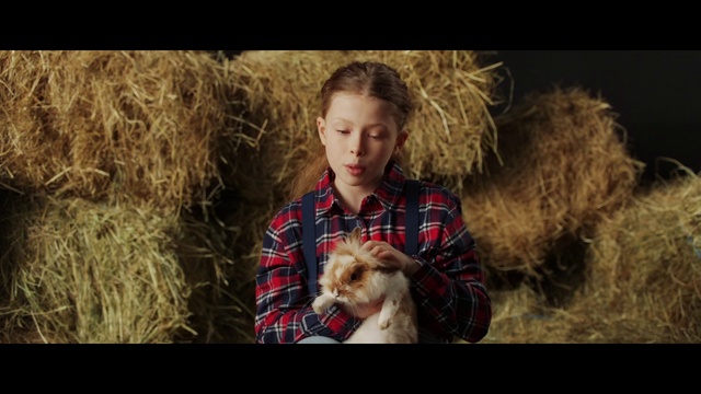 Video Reference: Dog, Outerwear, Carnivore, Dog breed, People in nature, Companion dog, Fawn, Grass, Toy dog, Happy