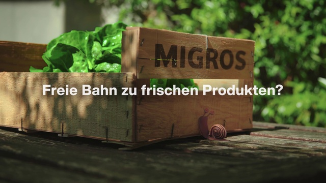 Video Reference: Wood, Grass, Rectangle, Font, Plant, Natural landscape, Groundcover, Landscape, Hardwood, Wood stain