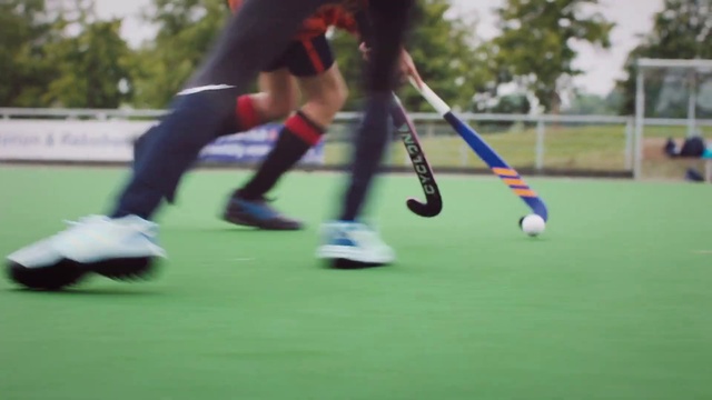 Video Reference: Field hockey, Sports equipment, Shoe, Shorts, Sports gear, Hockey, Plant, Ball, Player, Tree